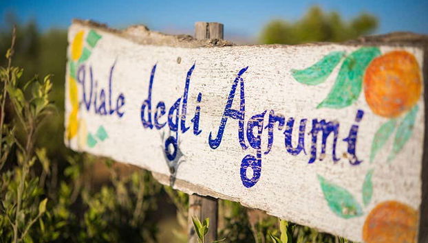 Benvenuti alla cantina di Partinico