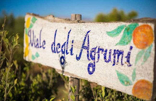 Visita a una cantina di Partinico - Foto 4