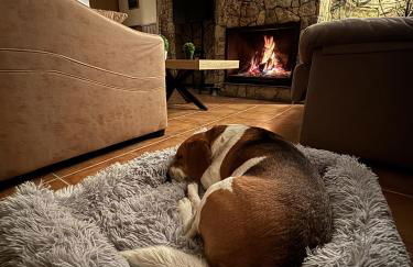 Alojamiento Los Sauces - Rio Madera - Foto 13