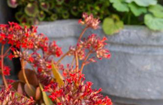 Enetiko Apartments - Foto 46