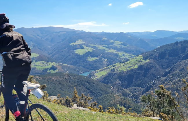 El Bosque de las Viñas - Foto 50