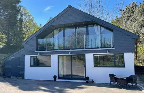 Little Chi - Photo 1