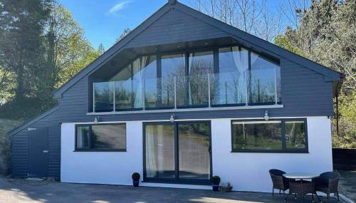 Little Chi - Photo 1