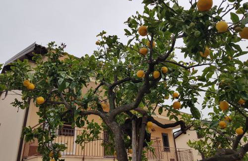 Villa Muse Holiday oasi sul mare di CapoMulini, Acireale - Sicilia, Italy Locazione Turistica - Foto 28