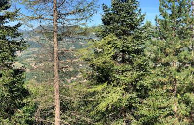 Peaceful Country Living at Apartments at Villa Clara - Foto 52