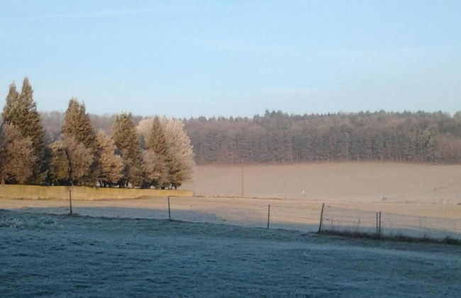 Stylish Stay in Central Sedan - Photo 39