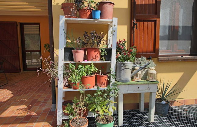 Pet-friendly Cottage With Pool - Foto 31