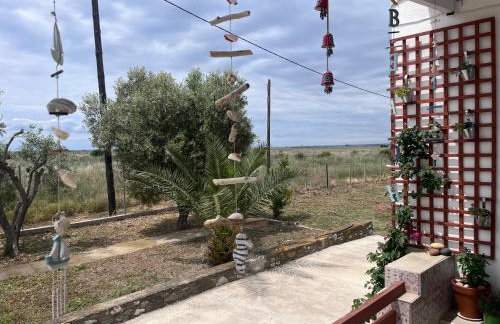 Sea and Garden House - Photo 14