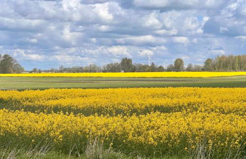 Neues Apartment Nordisch bei Nature by Fewo & Zimmer Bruns - Foto 25