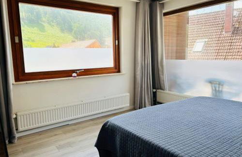 Das-Urlaubszuhause-fuer-Familien-Grossfamilien-Mehrfamilien-und-kleine-Gruppen-bis-zum-12-Personen-mit-vielen-Unterhaltungsmoeglichkeiten-im-Harz - Foto 28