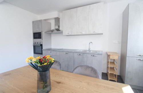 Fly in Apartment - Photo 2