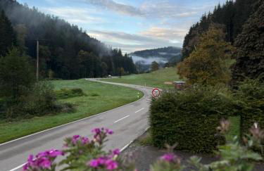 BaB Hotels and Apartments-Zum Letzten G'Stehr - Photo 3