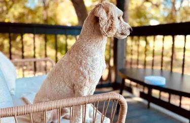 Modern Farmstay Cabin with Friendly Animals, Pond Views & Nature Trails Near Cedar Creek, Texas - Photo 55