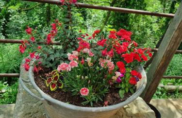 Agriturismo Villa Anna - Foto 33