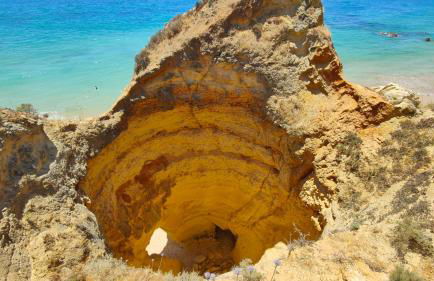 EstrelasDourada ALVOR Limoeiro - Foto 41