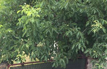 Art De Lux apartment - Foto 11