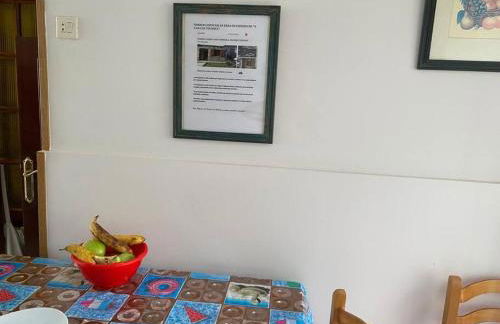 VIVEIRO.CELEIRO. CASA TRANQUILA. RESURRECTION FEST - Foto 3