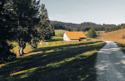 Ferienwohnung Allgäuerle 1604 Ski in Ski out an der Skipiste mit Hallenbad Sauna - Photo 38