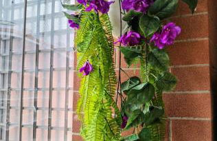 La Casetta di Ivy - Photo 20