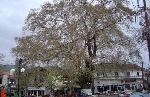 Cozy Place living - Foto 54