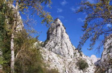 La Rondita, Fuentes, Parres, Asturias - Photo 12