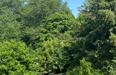 Antica Corte Milanese - Foto 35