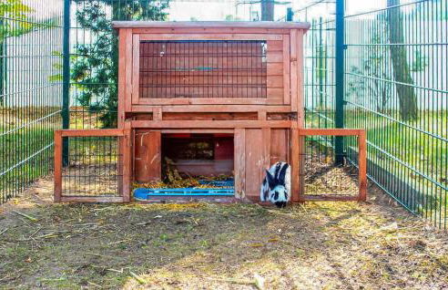 Ferienwohnung Sommersdorf - Foto 13