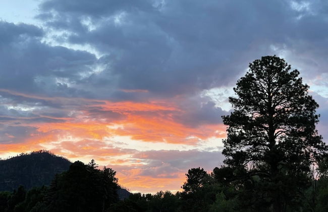 NEW 2bed 2bath With Creek and Open Spaces - Foto 18