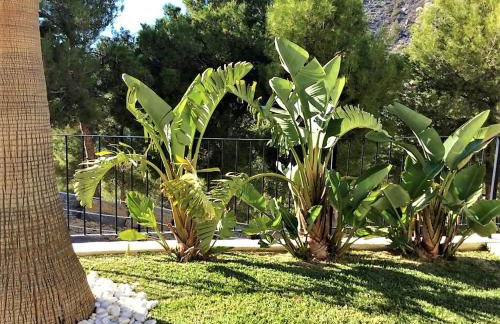 Altea Olivos G - Foto 33