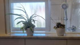 Unter der Linde - Foto 3