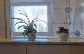 Unter der Linde - Foto 3