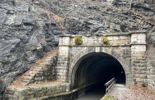 Canal Cabins - Foto 61