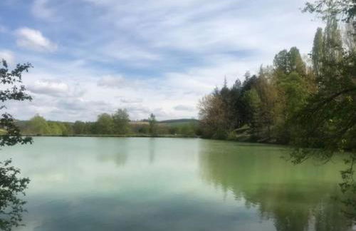 Chalet au milieu de la forêt avec lac à proximité - Foto 21