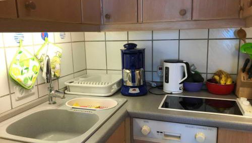 Ferienwohnung Wetterfrosch - Foto 5, stove, dishwasher