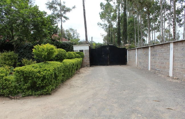 Zaburi Place - Foto 19