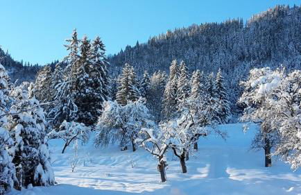 Ferienhof Am Holderbusch - Foto 11