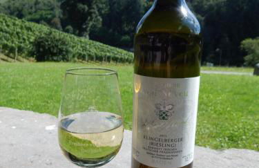 Wein Lodge Durbach - Josephsberg - Foto 11