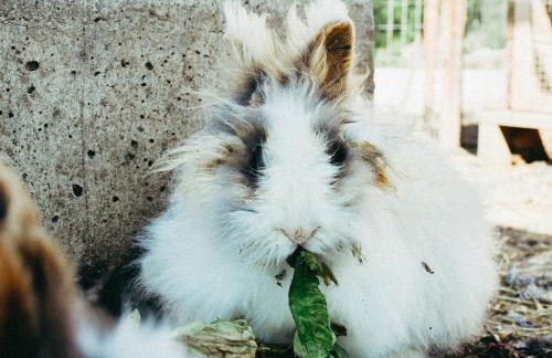 Agriturismo Vallerana - Foto 15