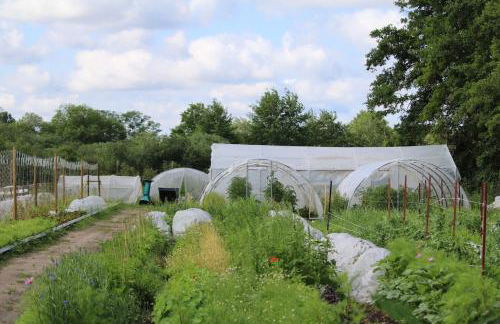 Glamping im beheizten Campingfass auf Leo's Farm - Foto 16