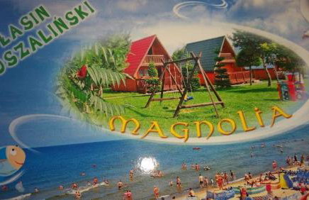 Domki Letniskowe Magnolia - Foto 1