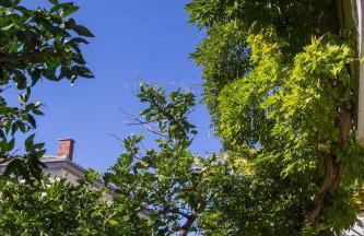 Apartment Bruno - Foto 27