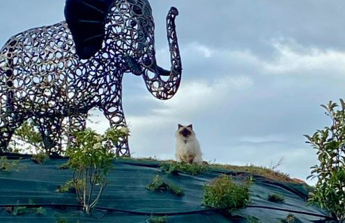 L'écrin d'Anne et Stéphane - vue sur Strasbourg - Foto 70