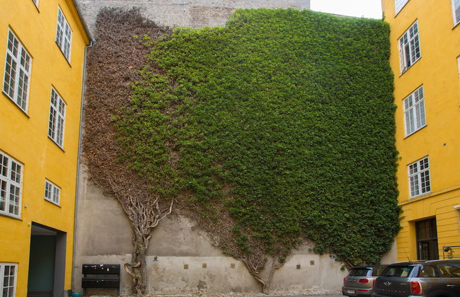 The Churchill 4 by Daniel&Jacob’s - Foto 41