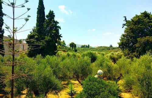 Blue Studios by Irene - Photo 49