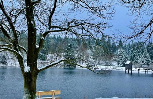 Ferienwohnung Harzurlaub - Photo 65