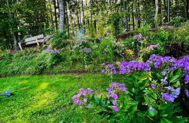 LakeView DomekNaKaszubach - Foto 24