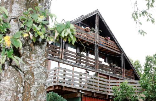 Ferienwohnungen Seeblick - Foto 3