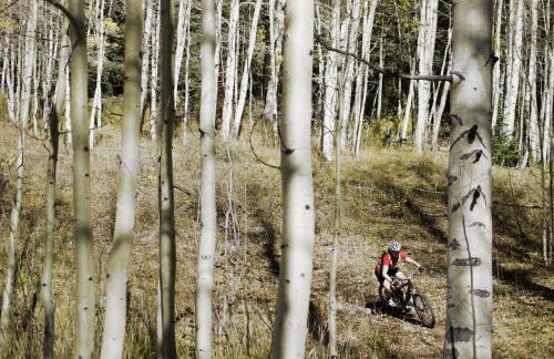 Stagecoach Cabin home - Foto 23