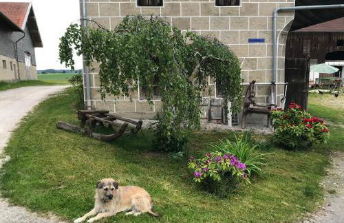 Beim Hofbauer - Foto 9