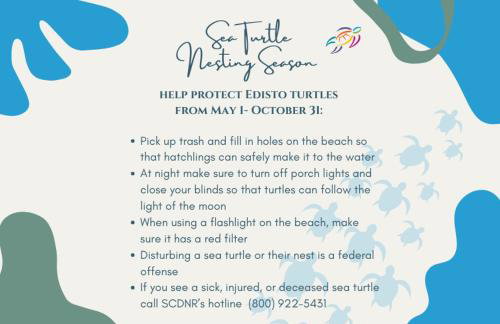 Edisto on my Mind - Foto 31